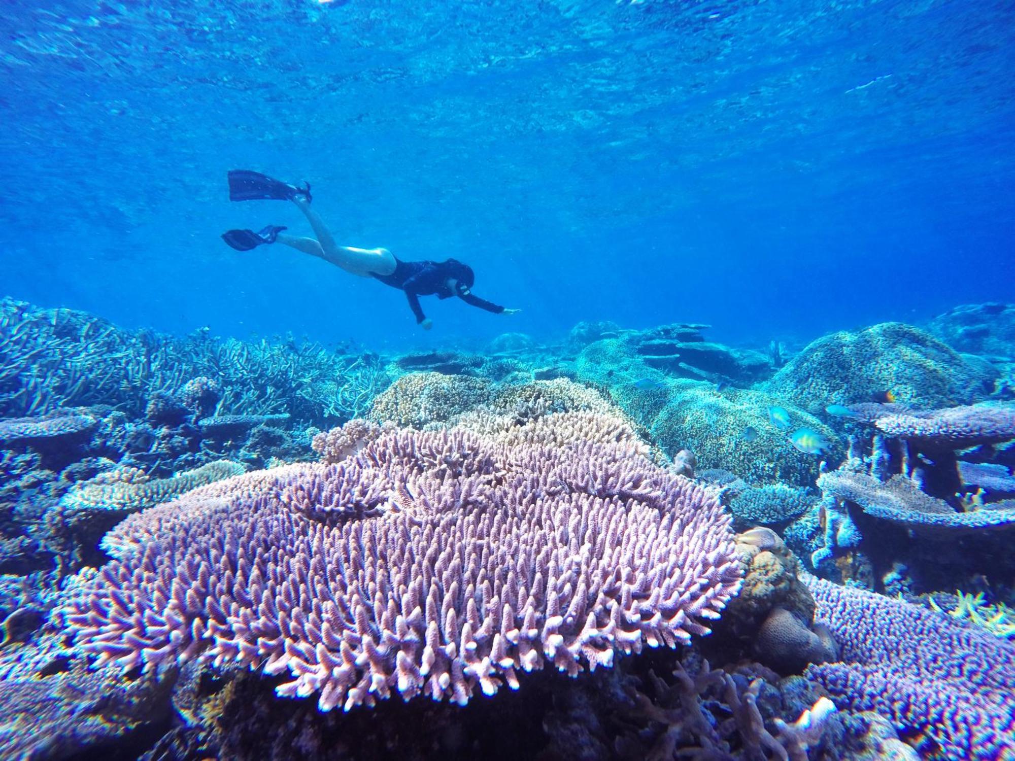 Bolilanga Island Resort - Togean Island Angkayo Bagian luar foto