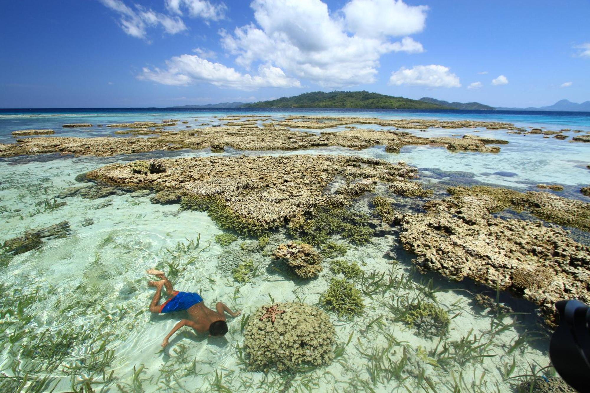 Bolilanga Island Resort - Togean Island Angkayo Bagian luar foto