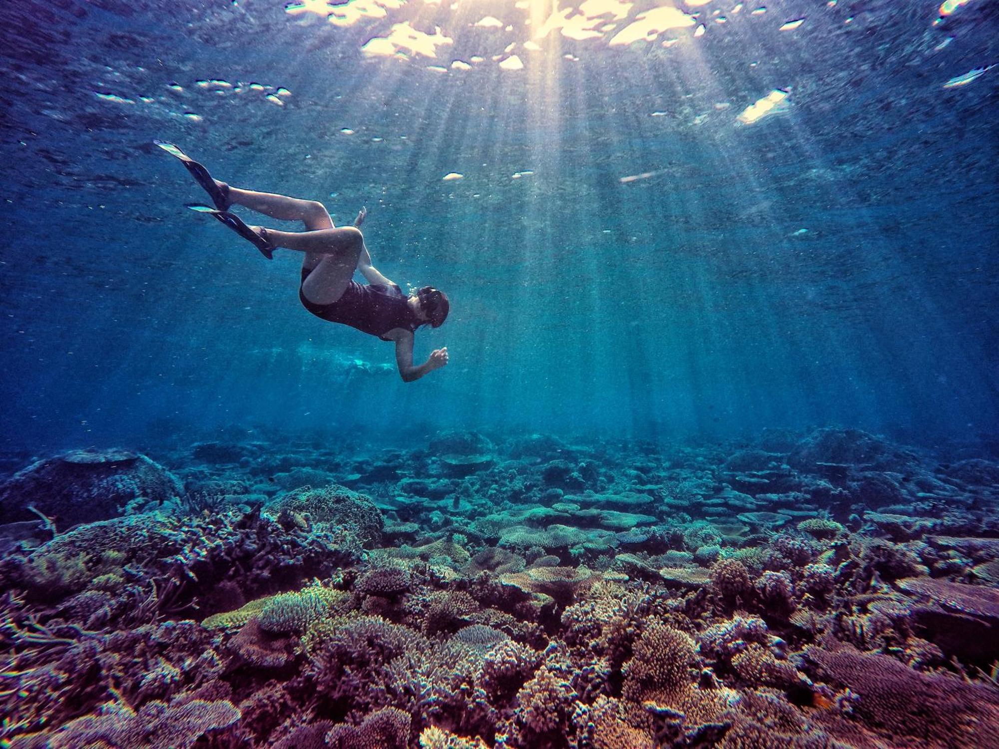 Bolilanga Island Resort - Togean Island Angkayo Bagian luar foto